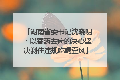 湖南省委书记沈晓明：以猛药去疴的决心坚决刹住违规吃喝歪风