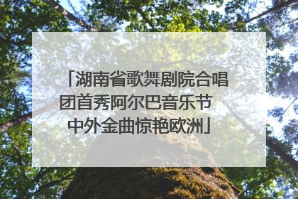 湖南省歌舞剧院合唱团首秀阿尔巴音乐节 中外金曲惊艳欧洲