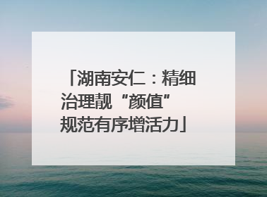 湖南安仁：精细治理靓“颜值” 规范有序增活力