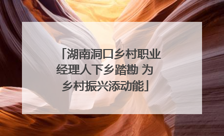 湖南洞口乡村职业经理人下乡踏勘 为乡村振兴添动能