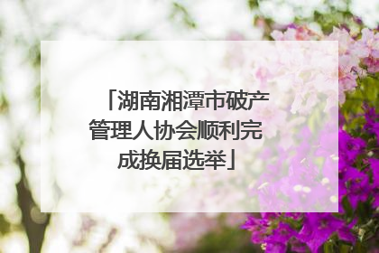 湖南湘潭市破产管理人协会顺利完成换届选举