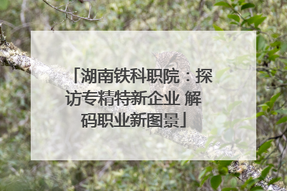 湖南铁科职院：探访专精特新企业 解码职业新图景