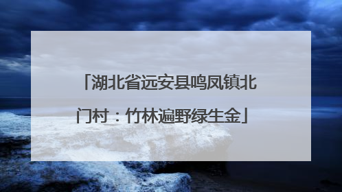 湖北省远安县鸣凤镇北门村：竹林遍野绿生金