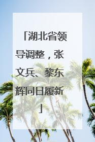 湖北省领导调整，张文兵、黎东辉同日履新