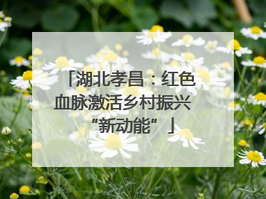湖北孝昌：红色血脉激活乡村振兴“新动能”