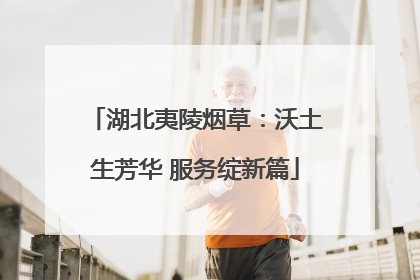 湖北夷陵烟草：沃土生芳华 服务绽新篇