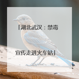 湖北武汉：禁毒宣传走进火车站