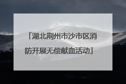 湖北荆州市沙市区消防开展无偿献血活动