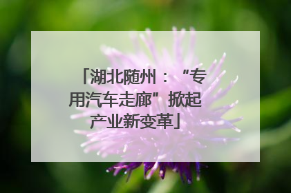 湖北随州：“专用汽车走廊”掀起产业新变革