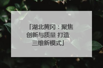 湖北黄冈：聚焦创新与质量 打造三维新模式