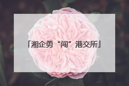 湘企勇“闯”港交所