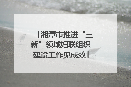 湘潭市推进“三新”领域妇联组织建设工作见成效