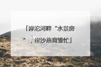 滹沱河畔“水景房”，崖沙燕育雏忙