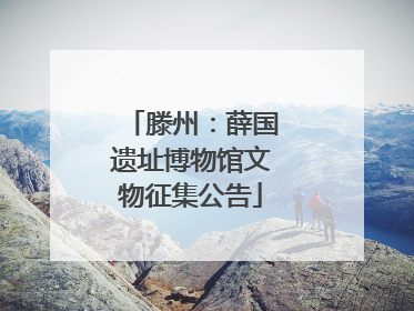 滕州：薛国遗址博物馆文物征集公告