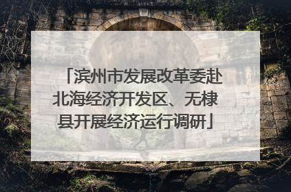 滨州市发展改革委赴北海经济开发区、无棣县开展经济运行调研