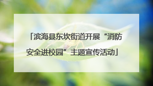 滨海县东坎街道开展“消防安全进校园”主题宣传活动