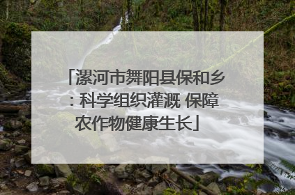 漯河市舞阳县保和乡：科学组织灌溉 保障农作物健康生长