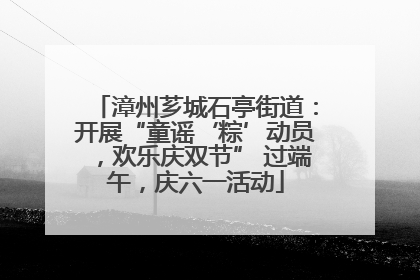 漳州芗城石亭街道：开展“童谣‘粽’动员，欢乐庆双节” 过端午，庆六一活动