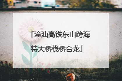 漳汕高铁东山跨海特大桥栈桥合龙