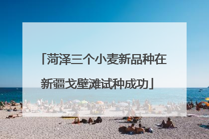 菏泽三个小麦新品种在新疆戈壁滩试种成功
