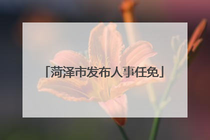菏泽市发布人事任免