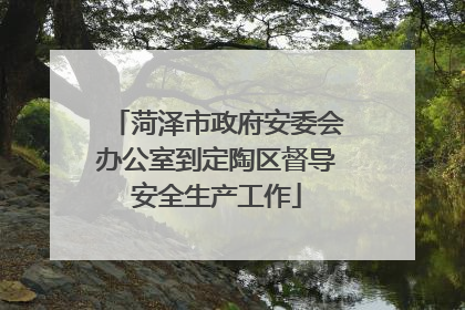 菏泽市政府安委会办公室到定陶区督导安全生产工作