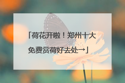 荷花开啦！郑州十大免费赏荷好去处→