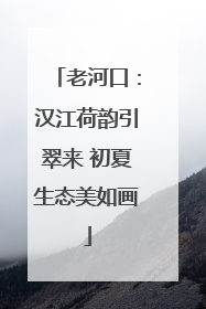 老河口：汉江荷韵引翠来 初夏生态美如画