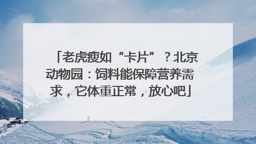 老虎瘦如“卡片”？北京动物园：饲料能保障营养需求，它体重正常，放心吧