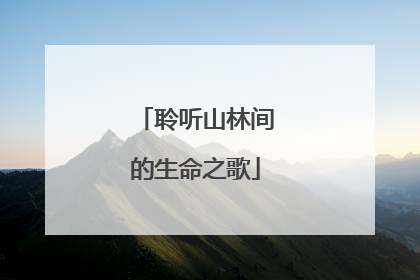 聆听山林间的生命之歌