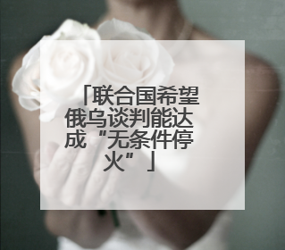 联合国希望俄乌谈判能达成“无条件停火”