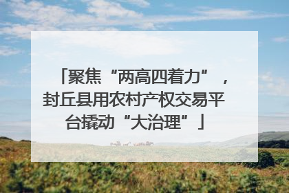 聚焦“两高四着力”，封丘县用农村产权交易平台撬动“大治理”