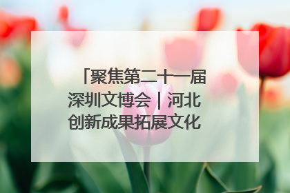 聚焦第二十一届深圳文博会｜河北创新成果拓展文化产业“朋友圈”