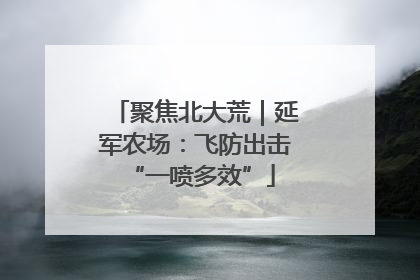 聚焦北大荒｜延军农场：飞防出击 “一喷多效”