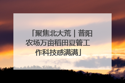 聚焦北大荒｜普阳农场万亩稻田夏管工作科技感满满