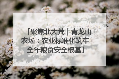 聚焦北大荒｜青龙山农场：农业标准化筑牢全年粮食安全根基