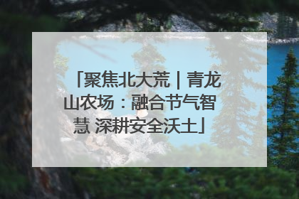 聚焦北大荒｜青龙山农场：融合节气智慧 深耕安全沃土