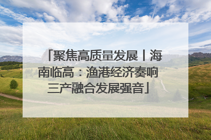 聚焦高质量发展丨海南临高：渔港经济奏响三产融合发展强音