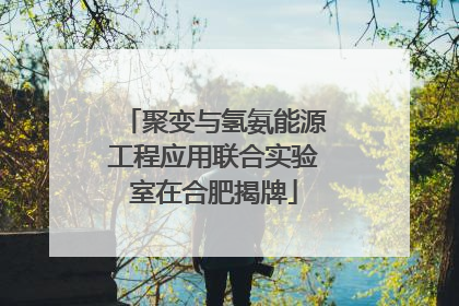 聚变与氢氨能源工程应用联合实验室在合肥揭牌