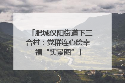 肥城仪阳街道下三合村：党群连心绘幸福“实景图”