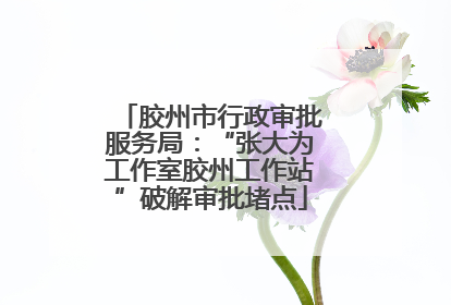 胶州市行政审批服务局：“张大为工作室胶州工作站”破解审批堵点