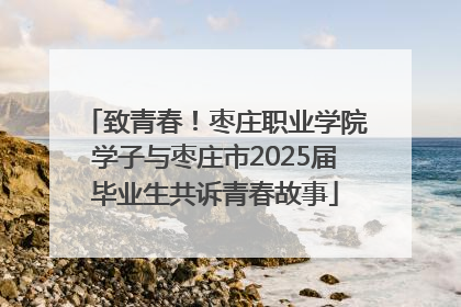致青春！枣庄职业学院学子与枣庄市2025届毕业生共诉青春故事