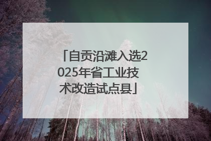 自贡沿滩入选2025年省工业技术改造试点县