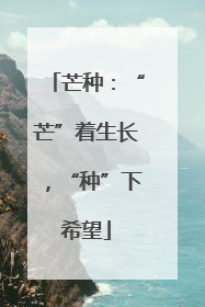 芒种：“芒”着生长，“种”下希望