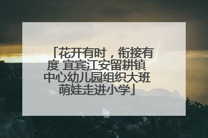 花开有时，衔接有度 宜宾江安留耕镇中心幼儿园组织大班萌娃走进小学