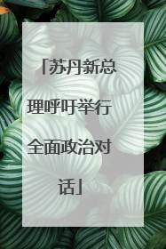 苏丹新总理呼吁举行全面政治对话