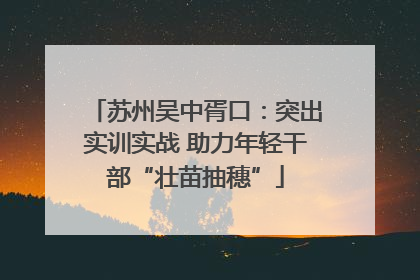 苏州吴中胥口：突出实训实战 助力年轻干部“壮苗抽穗”