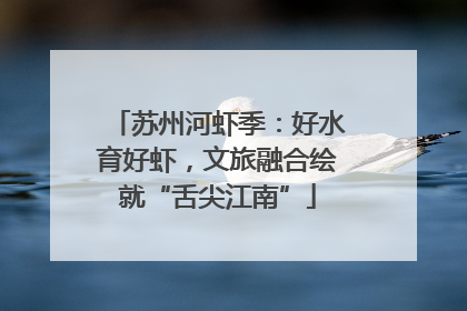 苏州河虾季：好水育好虾，文旅融合绘就“舌尖江南”