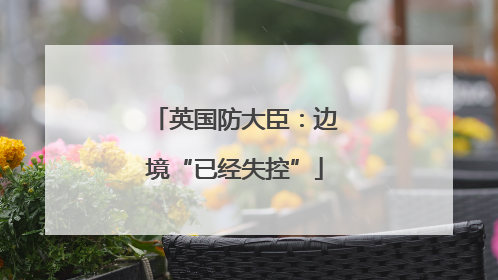英国防大臣：边境“已经失控”