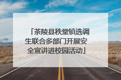 茶陵县秩堂镇选调生联合多部门开展安全宣讲进校园活动